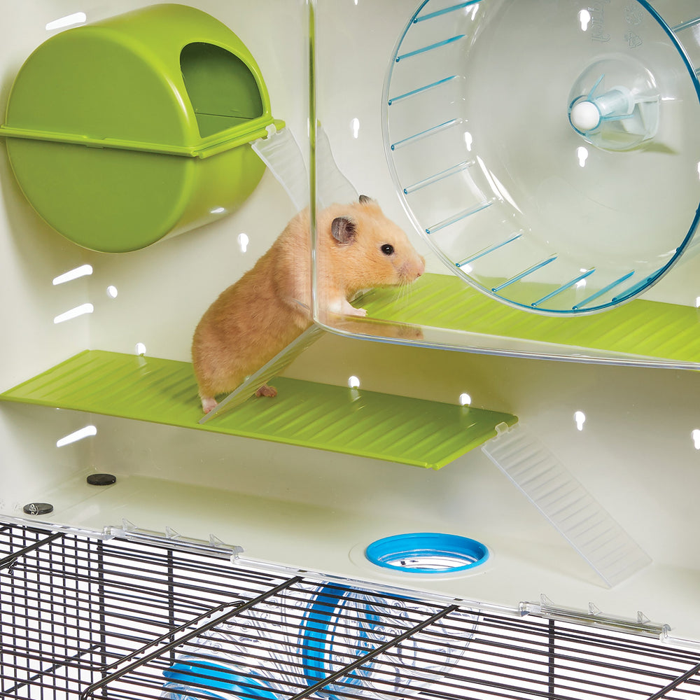 MidWest Homes for Pets roue et gamelle incluses pour exercice et alimentation