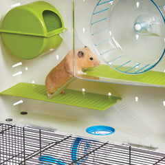 MidWest Homes for Pets roue et gamelle incluses pour exercice et alimentation