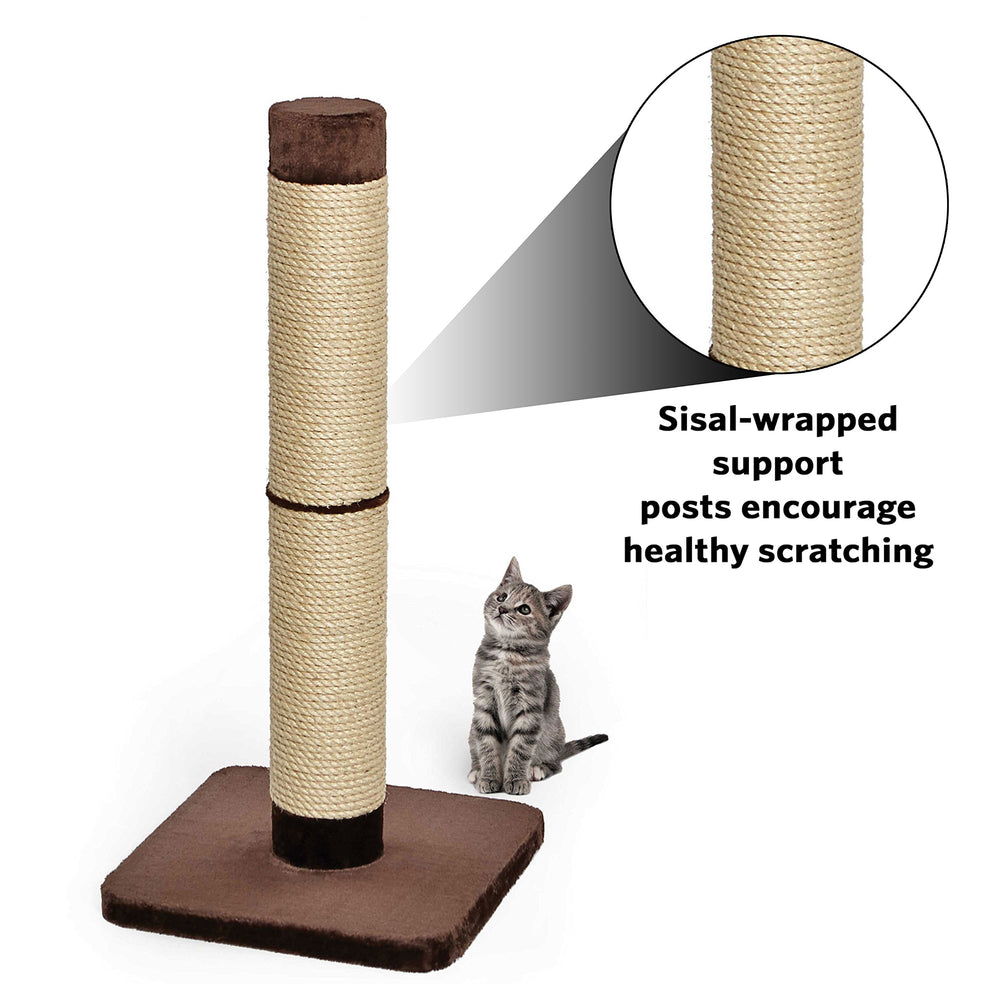 MidWest Homes for Pets texture sisal épais en gros plan, offre durabilité pour griffades fréquentes