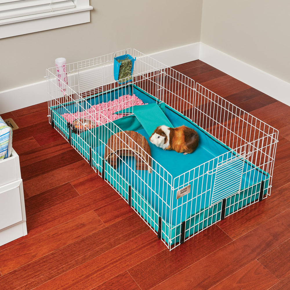 MidWest Homes for Pets habitat en usage avec cochons d'Inde encourageant jeu