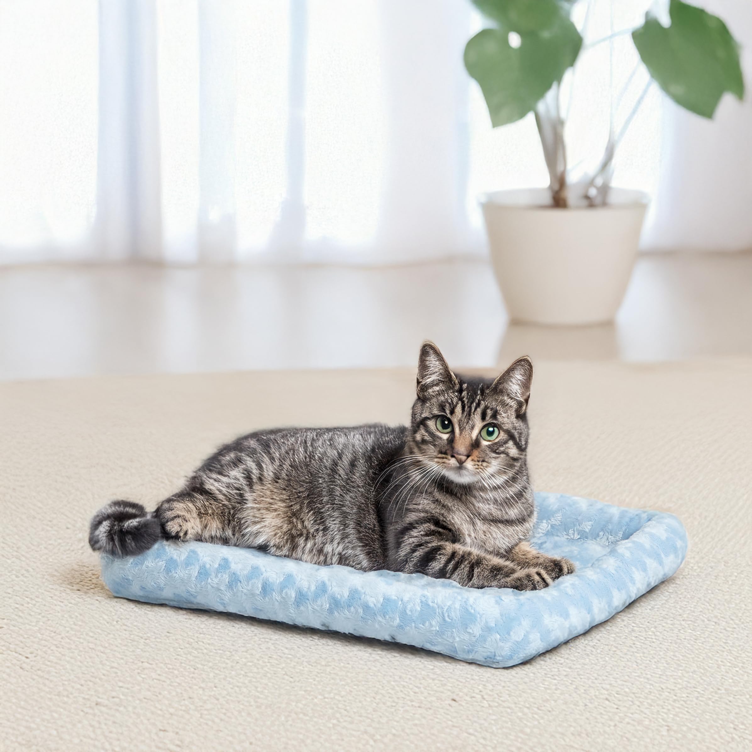 MidWest QuietTime bords rembourrés supportent tête et cou du chien
