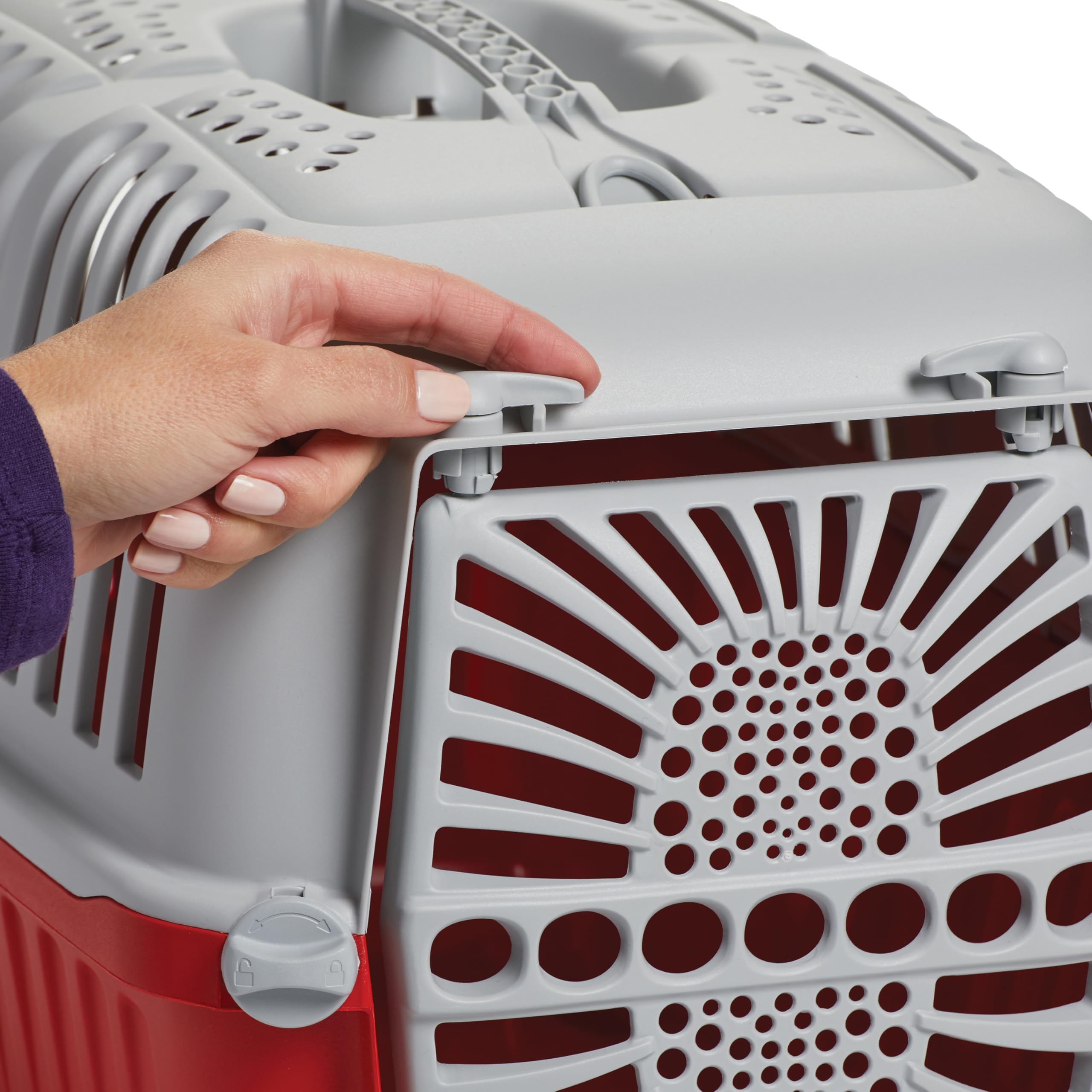 MidWest Homes for Pets côtés ventilés offrant circulation d'air et confort