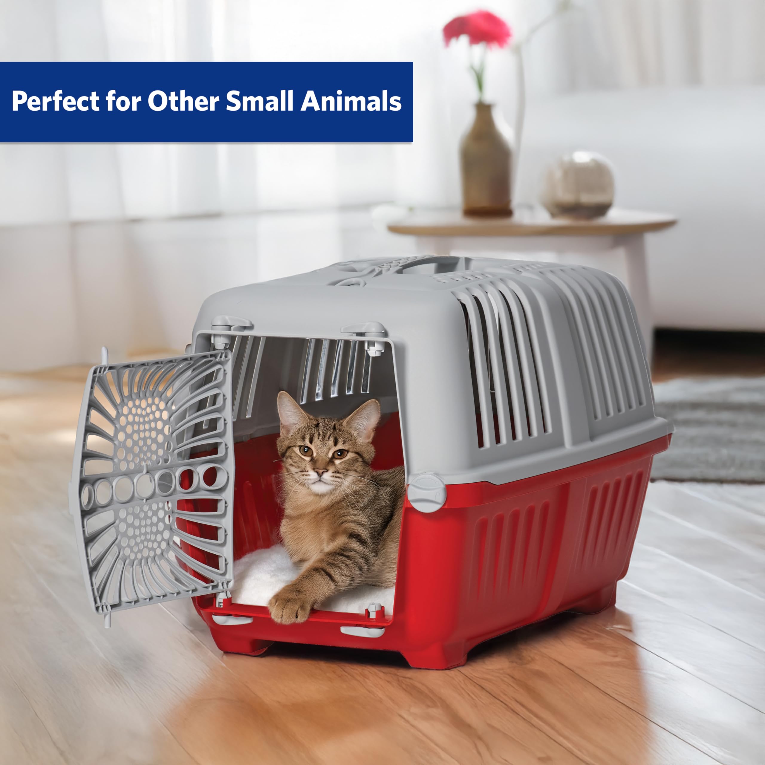 MidWest Homes for Pets intérieur Spree avec coussin pour confort immédiat