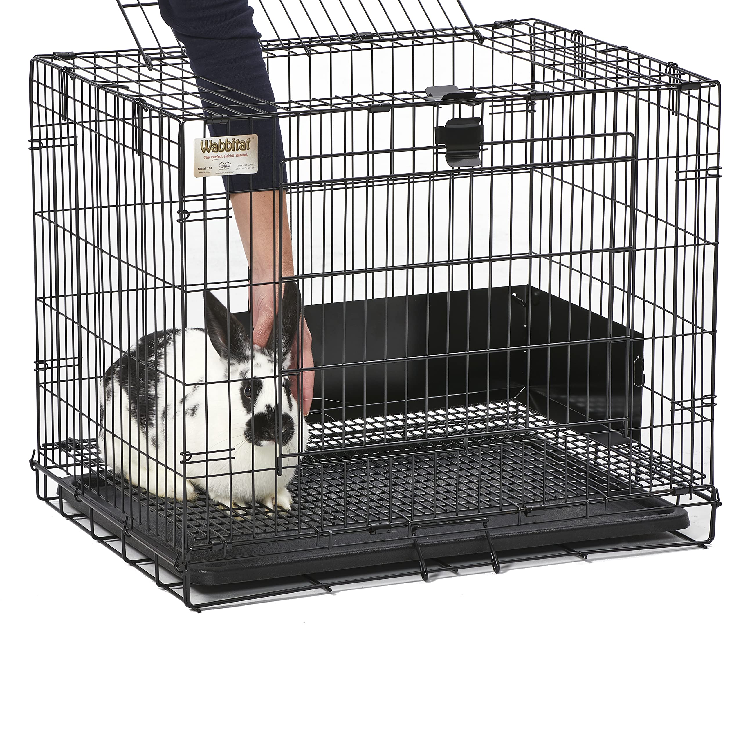 MidWest Wabbitat lapin à l'intérieur illustrant confort et interaction