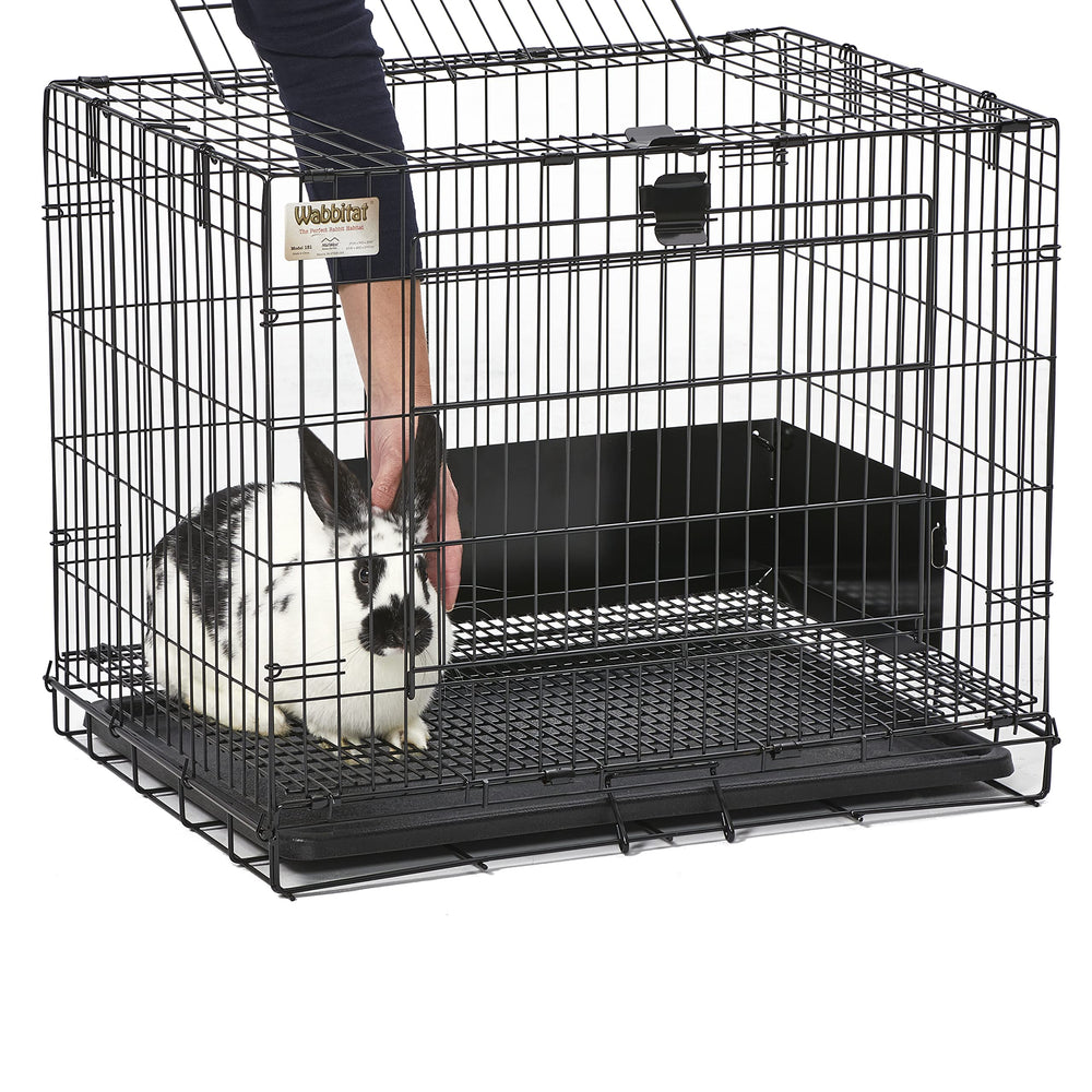 MidWest Wabbitat lapin à l'intérieur illustrant confort et interaction