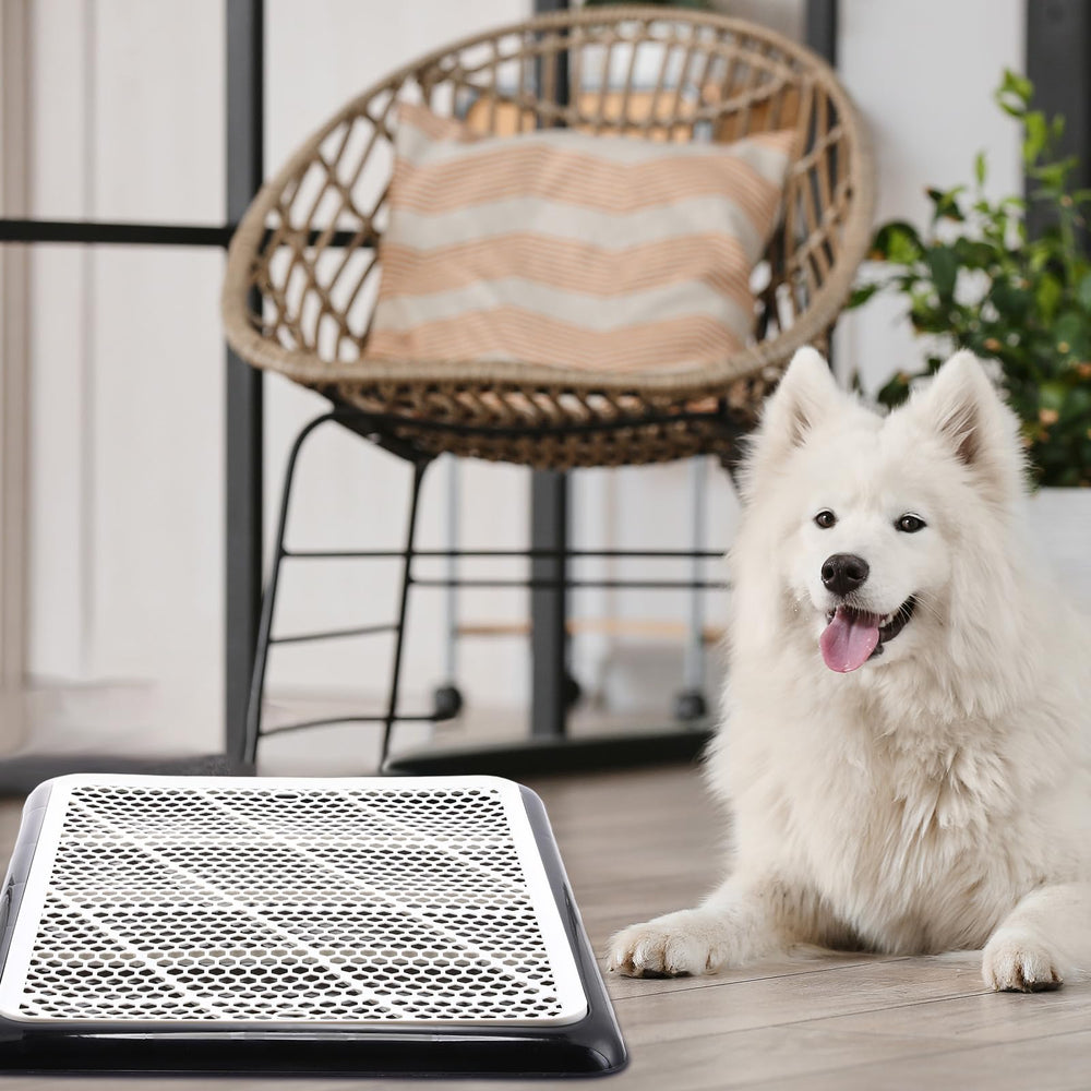 Mifoci installé sur balcon, solution portable pour intérieur et extérieur