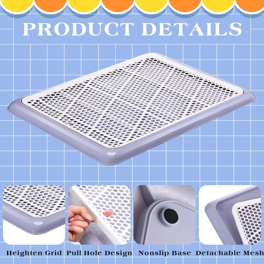 Mifoci produit en usage intérieur avec chien, maintien propreté