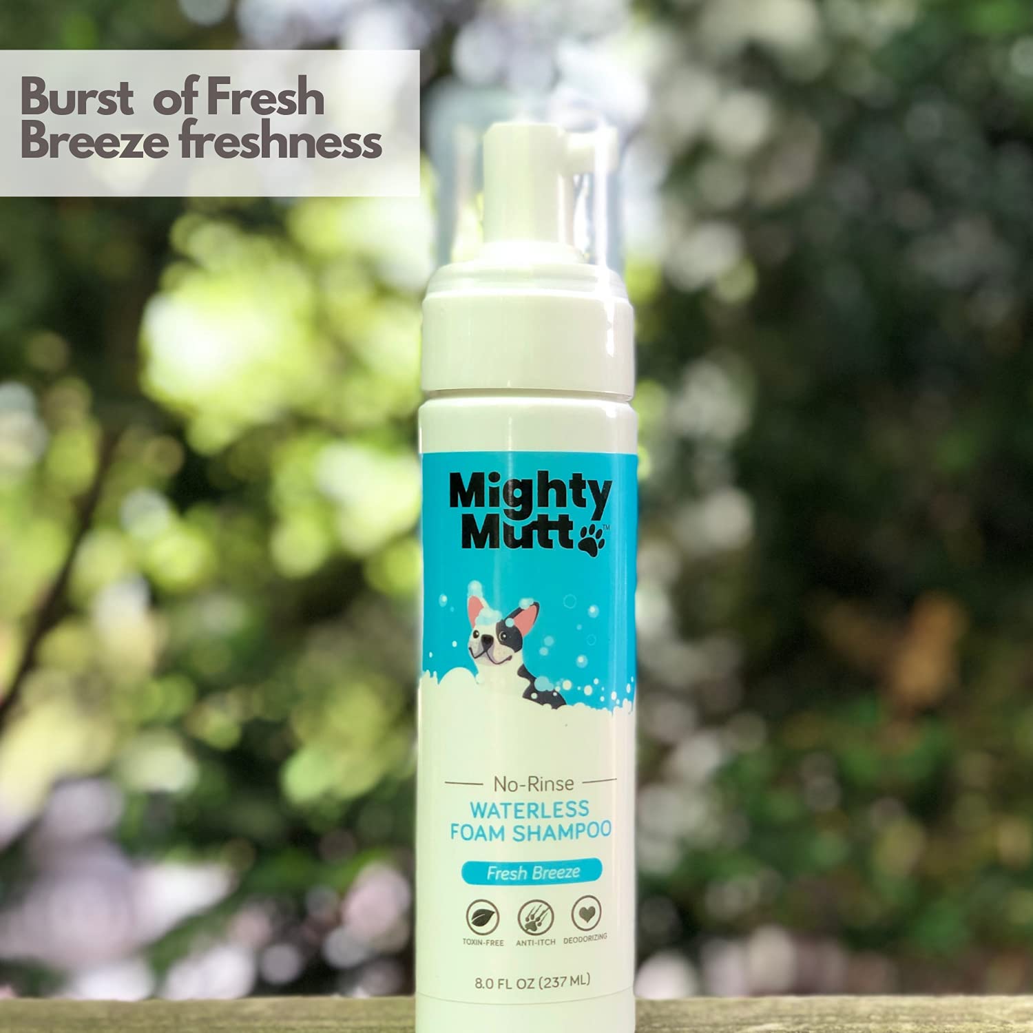 Mighty Mutt en environnement de toilettage pro pour résultats salon