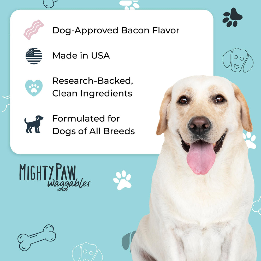 Chien acceptant un chew Mighty Paw, apaisement et plaisir immédiat