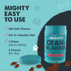 Mighty Paw pot ouvert révélant 120 comprimés pratiques pour usage prolongé