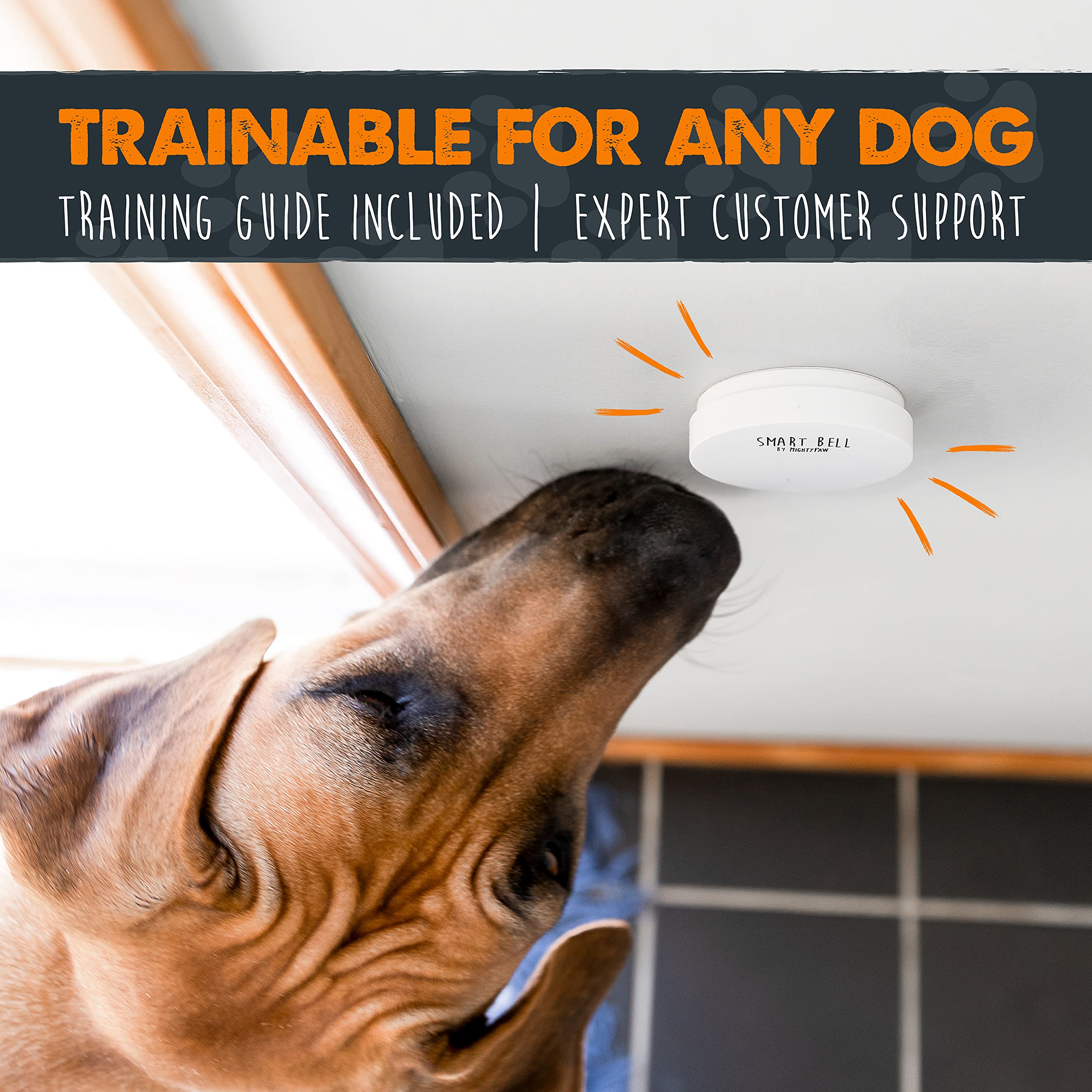 Mighty Paw comparaison taille avec main, dimensions pour positionnement