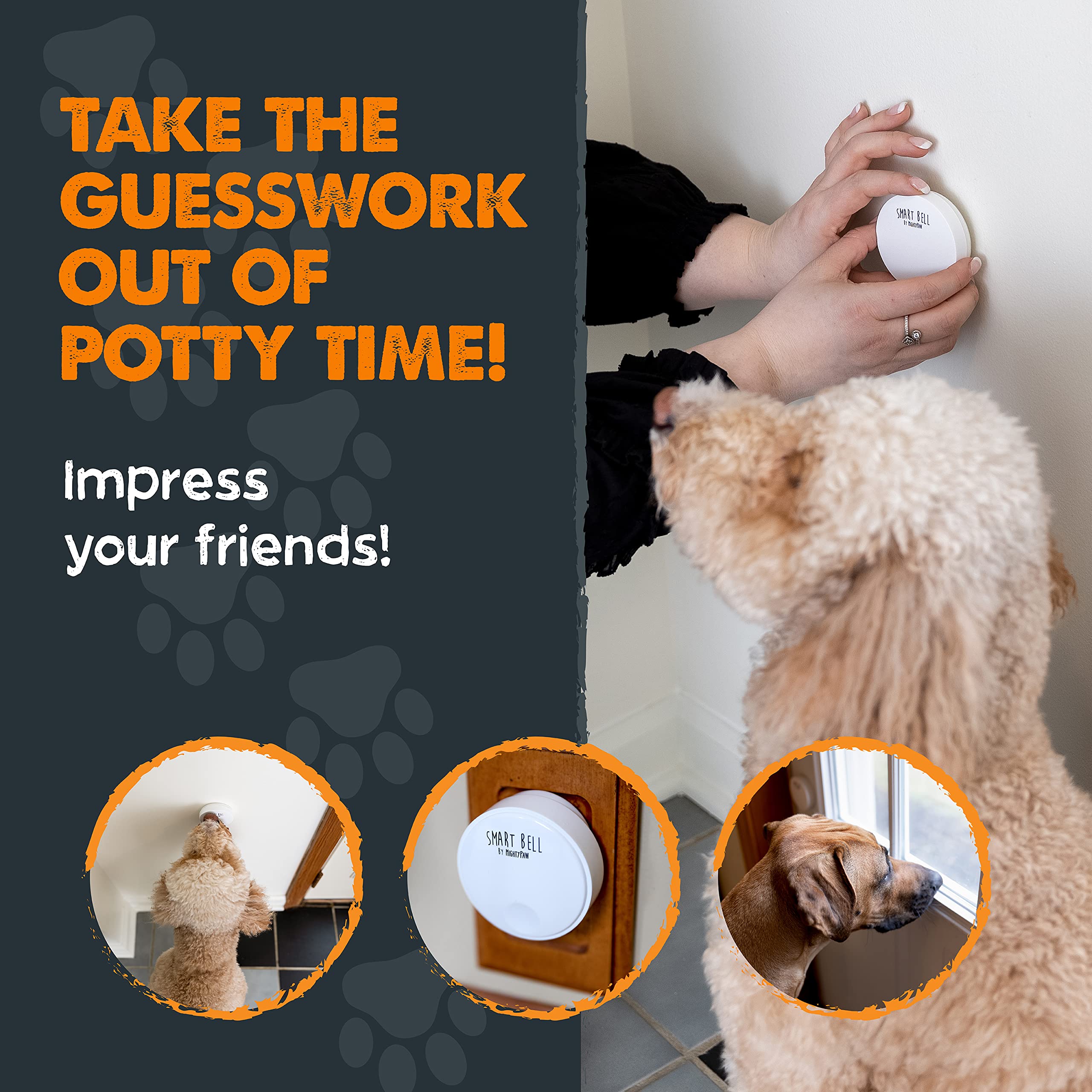 Mighty Paw scène maison lifestyle, communication chien-propriétaire facilitée