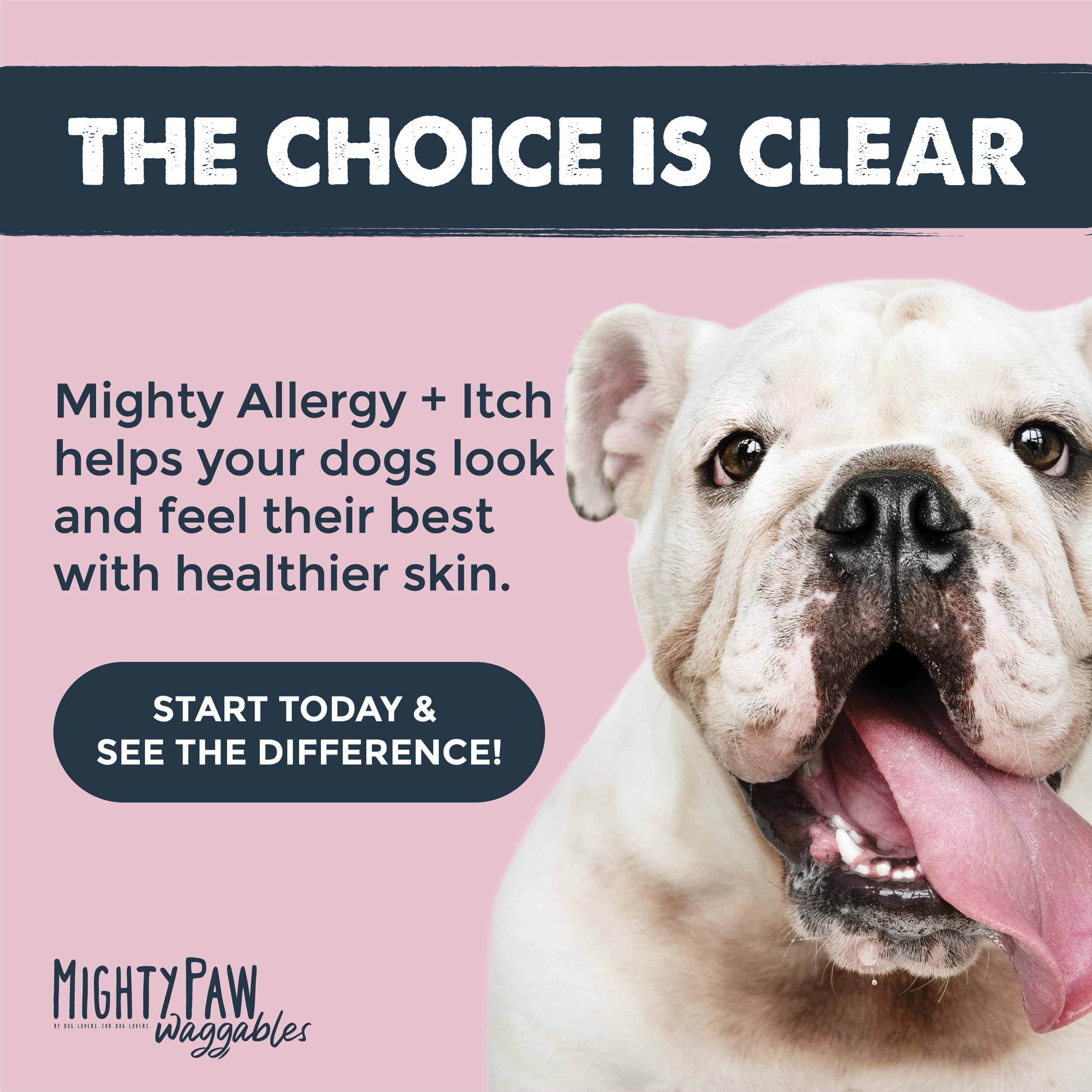 Mighty Paw chien prenant la friandise bacon, acceptation et appétence visualisées