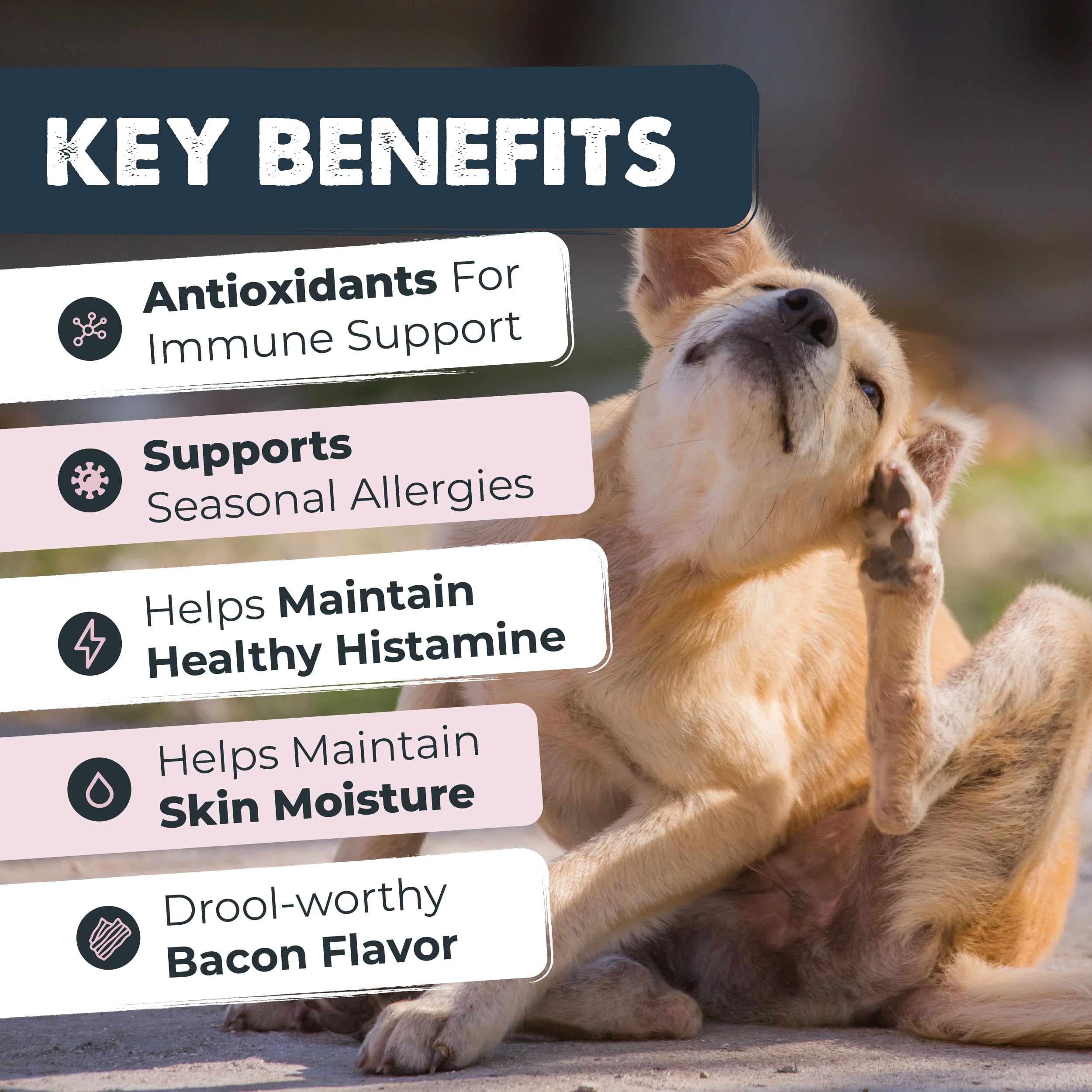 Mighty Paw gros plan sur la pastille montrant texture appétente et mâchabilité