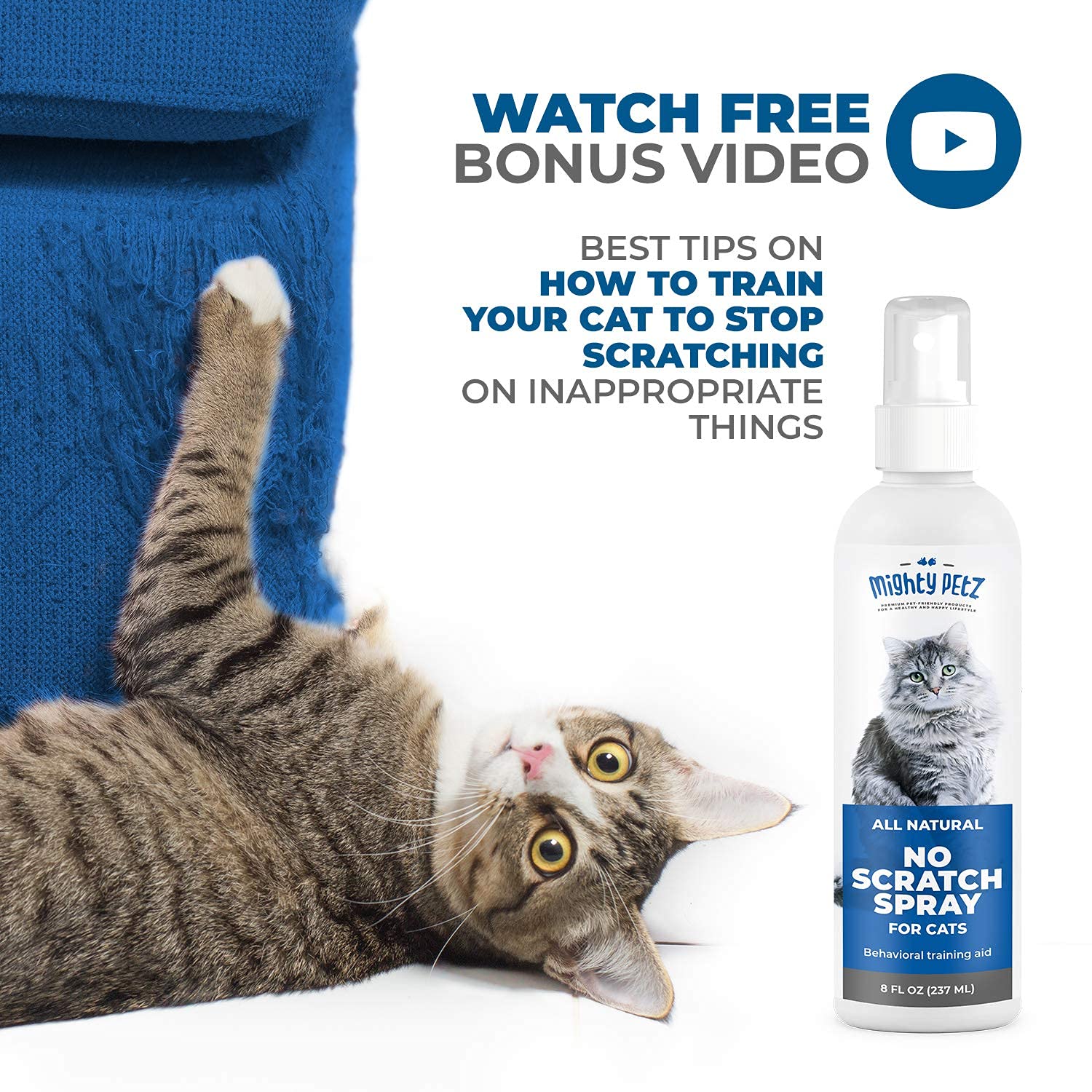 Mighty Petz bouteille 8 oz à côté d'objet du quotidien pour échelle pratique