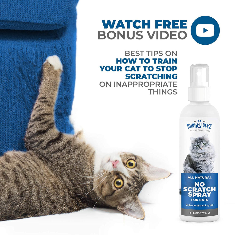 Mighty Petz bouteille 8 oz à côté d'objet du quotidien pour échelle pratique