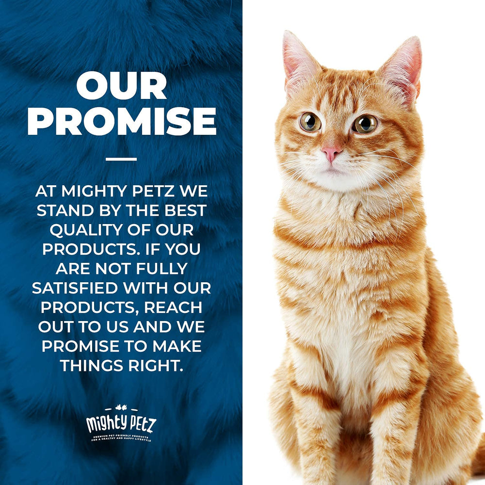 Mighty Petz posé près d'un griffoir facilitant redirection du comportement