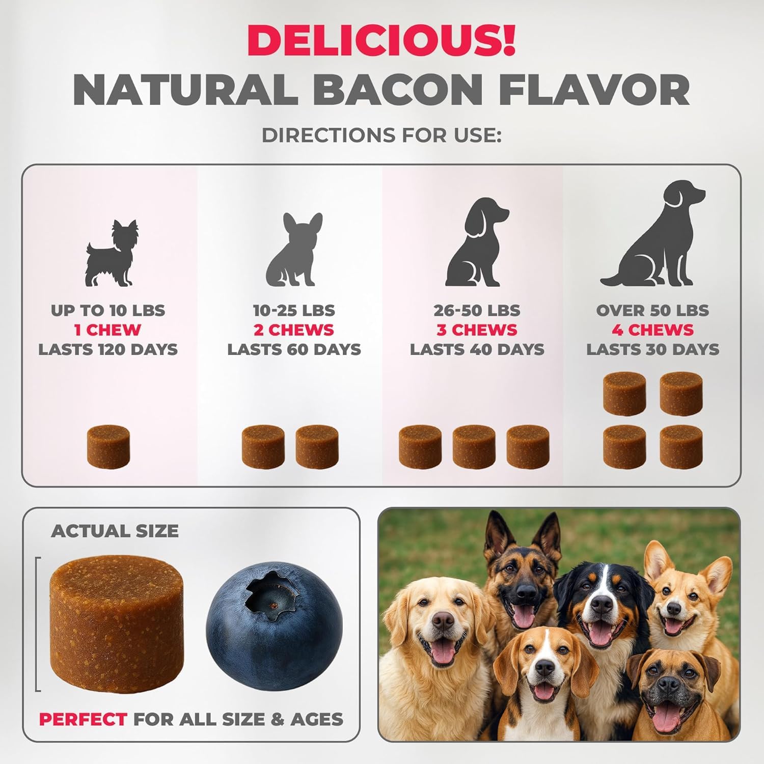 Mighty Petz chien acceptant chew apprécié favorisant administration aisée