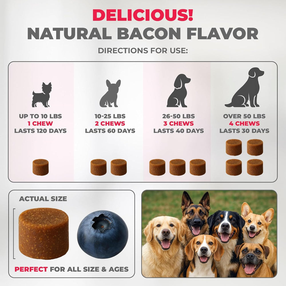 Mighty Petz chien acceptant chew apprécié favorisant administration aisée