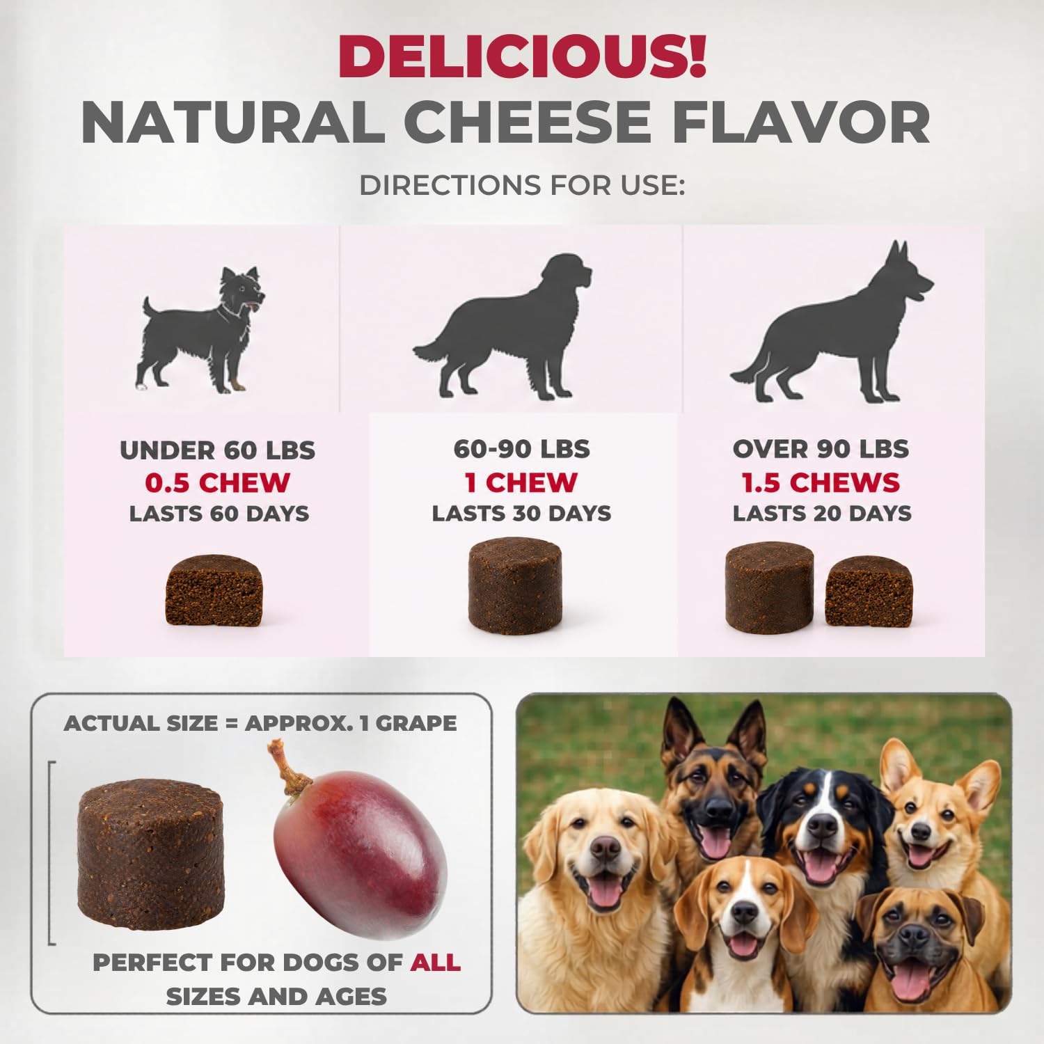 Mighty Petz portion adaptée pour grand chien illustrant quantité optimale et efficacité