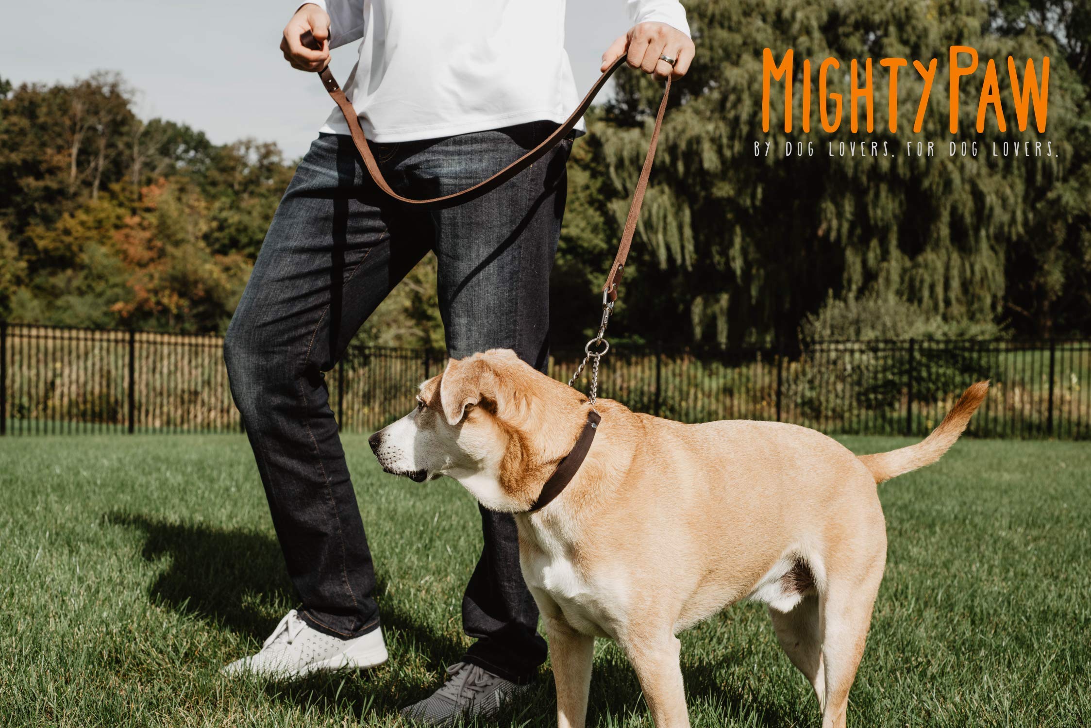 Mighty Paw action de cinch sur cou illustrant correction limitée et sûre