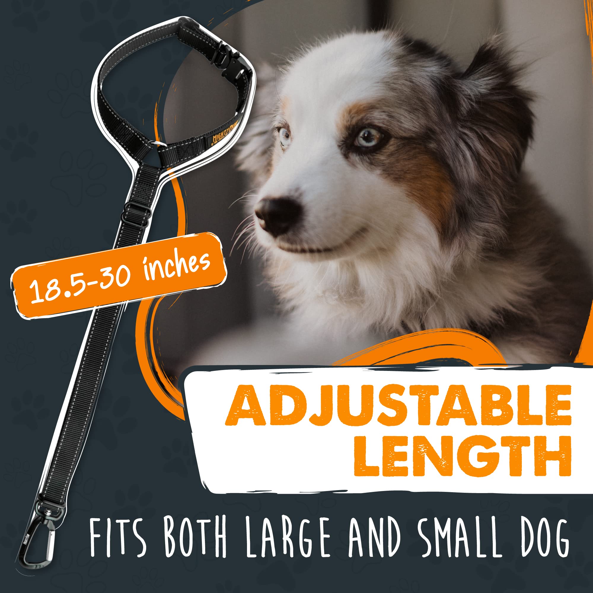 Mighty Paw boucle insérée dans le récepteur de ceinture pour sécurité