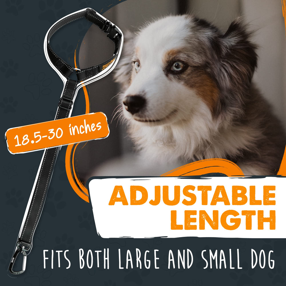 Mighty Paw boucle insérée dans le récepteur de ceinture pour sécurité