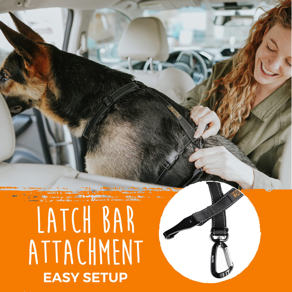 Mighty Paw chien assis attaché illustrant contrôle et tranquillité