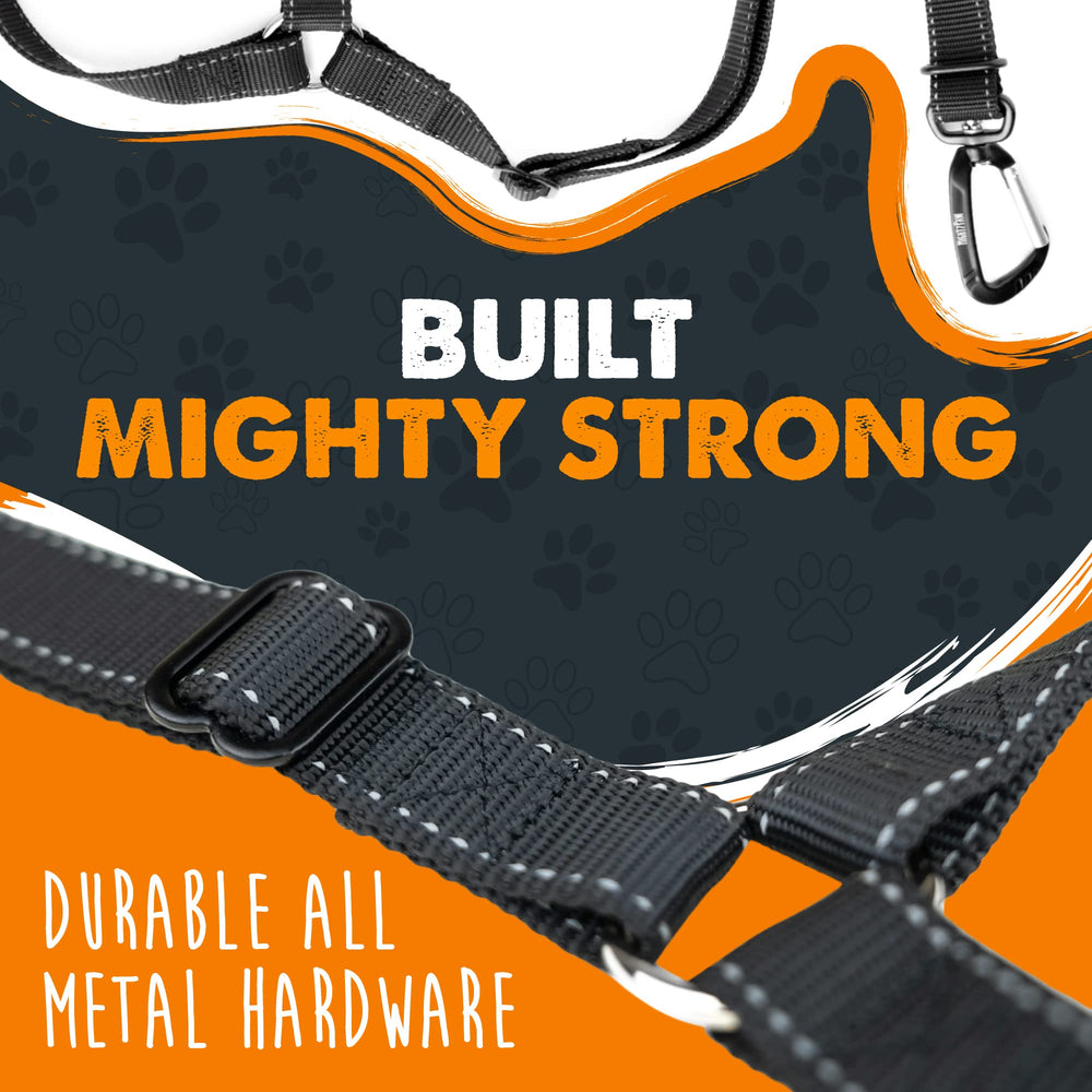 Mighty Paw comparaison avec une main illustrant la taille compacte