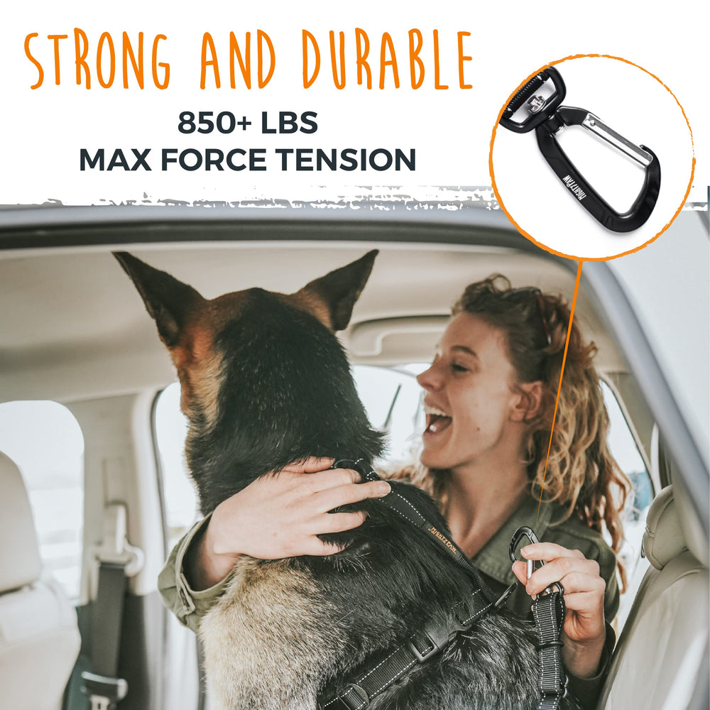 Mighty Paw fixation LATCH installée pour une attache fiable