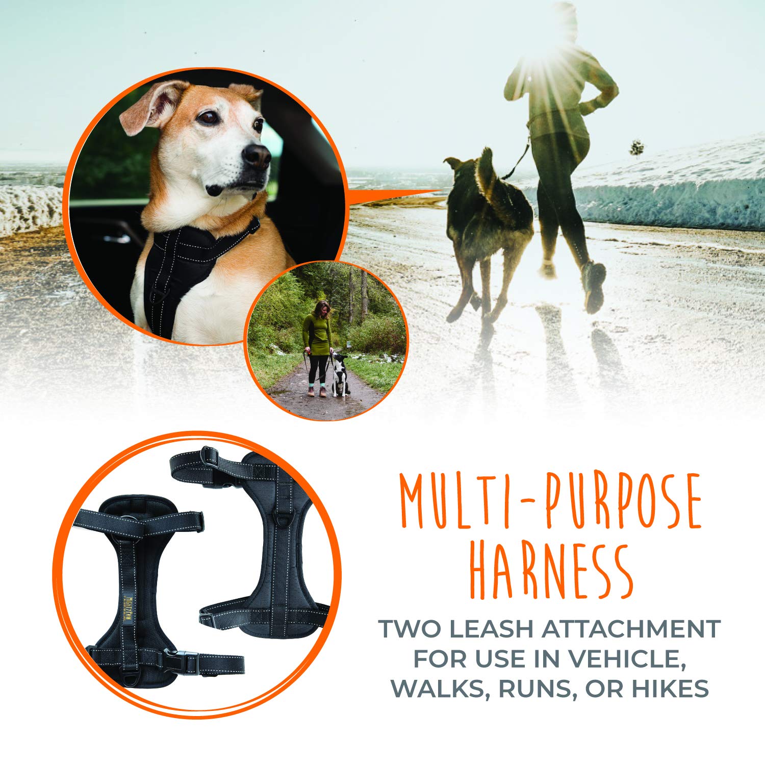 Mighty Paw harnais en promenade montre attache frontale anti-traction pratique