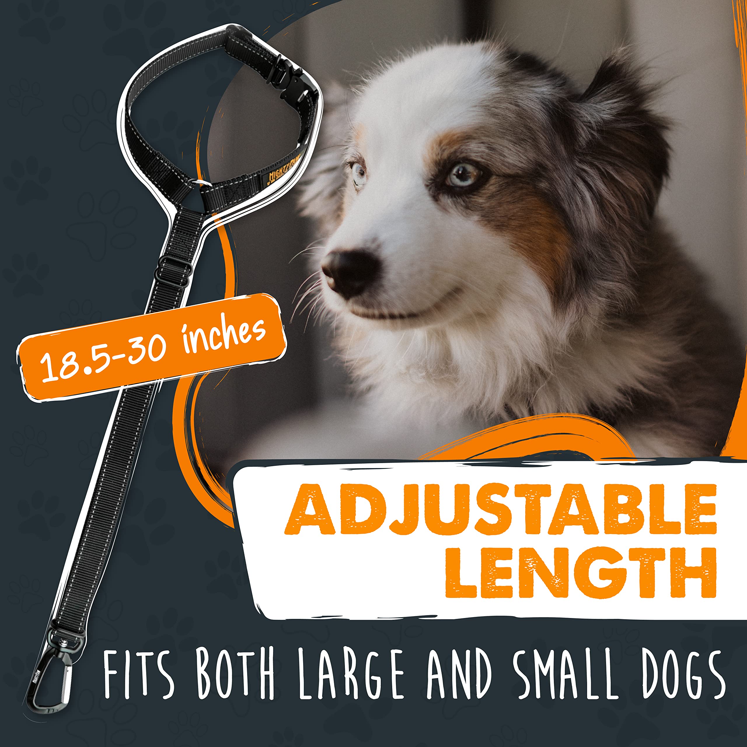 Mighty Paw mousqueton en aluminium solide pour une fixation résistante