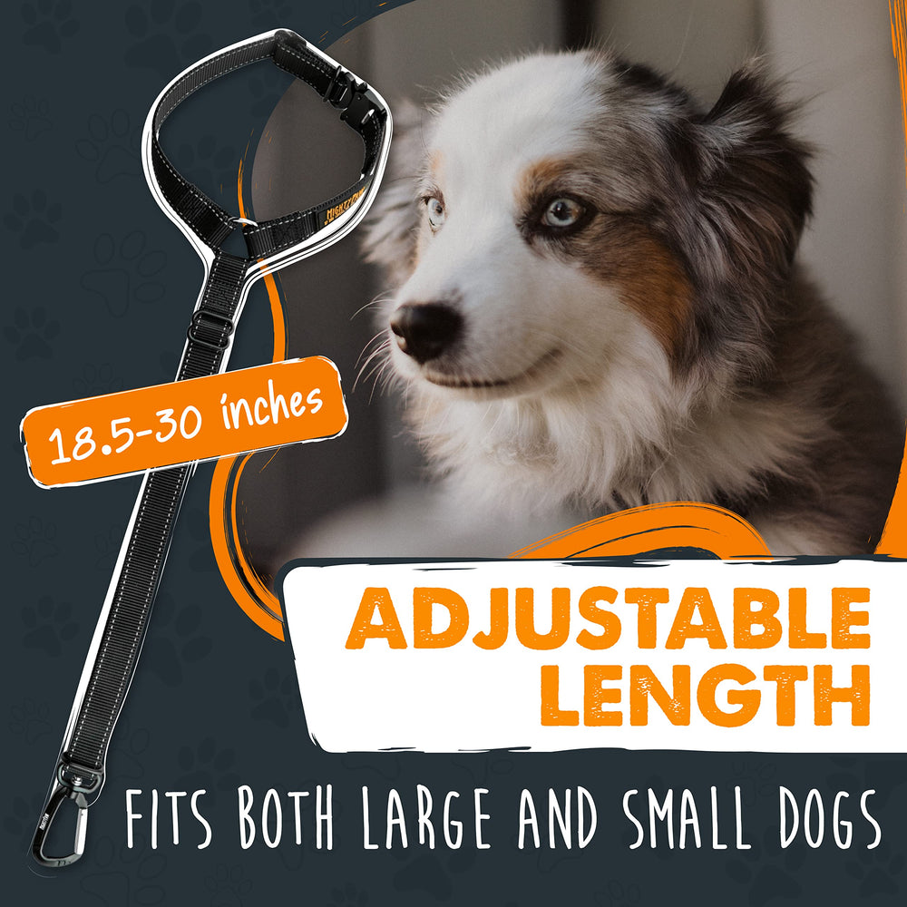 Mighty Paw mousqueton en aluminium solide pour une fixation résistante