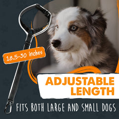 Mighty Paw mousqueton en aluminium solide pour une fixation résistante