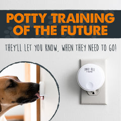 Mighty Paw gros plan sur bouton, sensibilité adaptée pour chiots