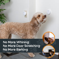 Mighty Paw récepteur en prise murale, alerte sonore fiable à l'intérieur
