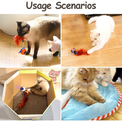 Migipaws accessoires inclus petite souris et queue, variations pour jeu prolongé