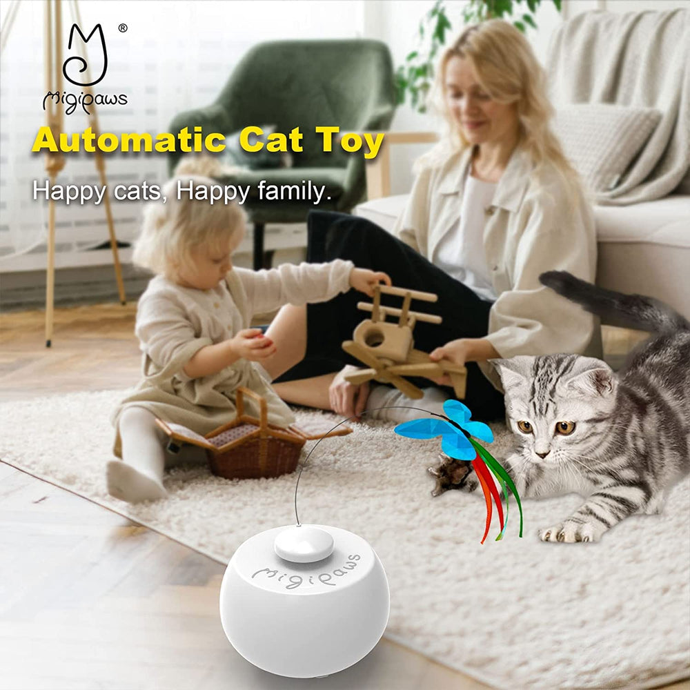 Migipaws balle base rotative montrant mouvement et amusement