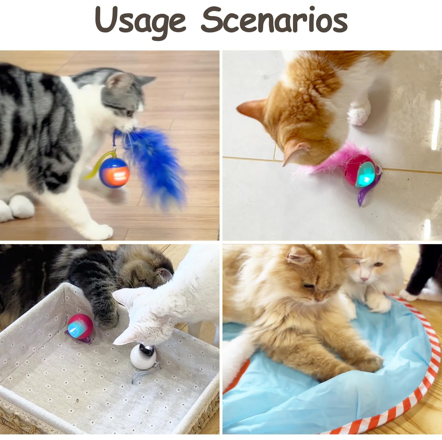 Migipaws balle en action avec chat stimulant chasse et exercice actif