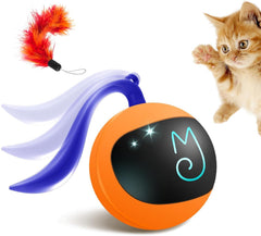 Migipaws balle interactive vue de face attirant l'œil et stimulant le jeu