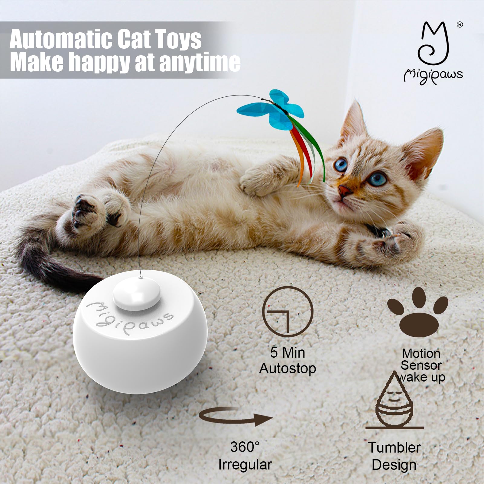 Migipaws comparaison taille avec main illustrant dimensions pratiques
