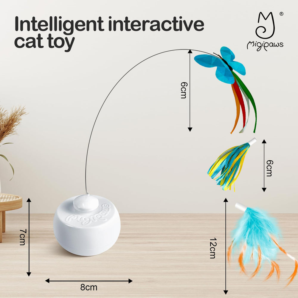 Migipaws ensemble complet posé sur table prêt à jouer