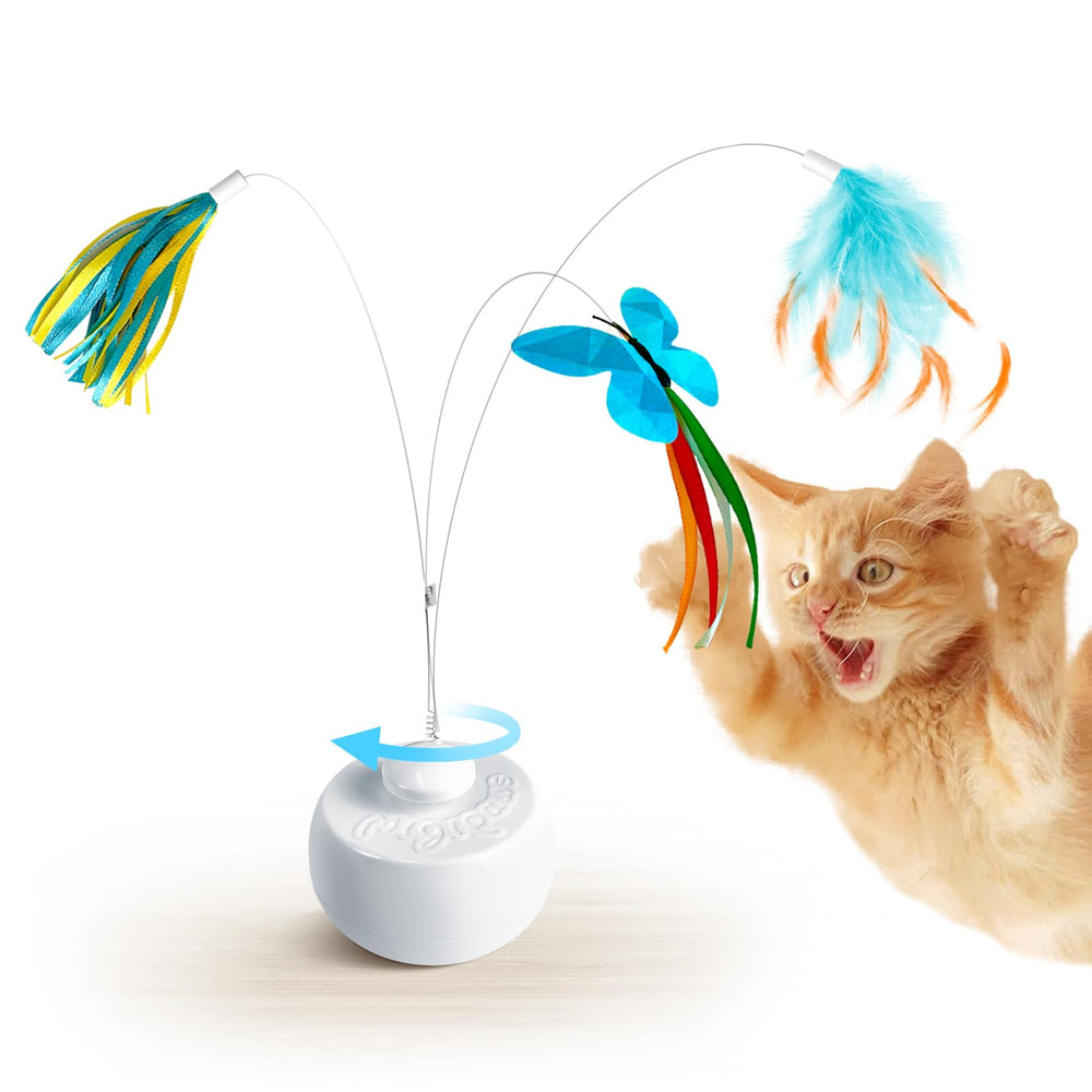 Migipaws face avant emballage montrant le kit et stimulant l’intérêt
