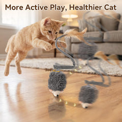 Migipaws gros plan de la fourrure douce offrant confort et attraction pour chat