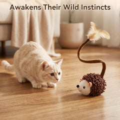 Migipaws hérisson queue en peluche détail attirant l'attention et stimulant les instincts