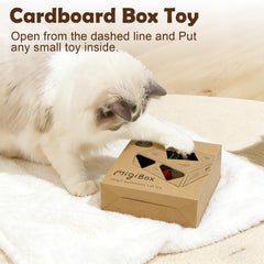 Migipaws Migibox chat en jeu illustrant engagement et exercice autonome