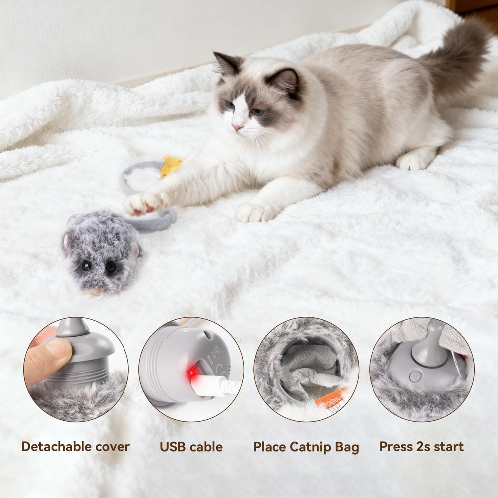Migipaws MigiMouse comparaison taille avec main pour repère d'échelle