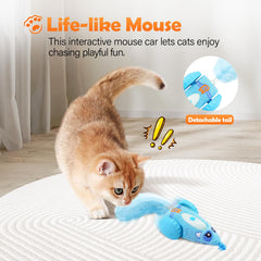 Migipaws gros plan peluche douce montrant texture et confort ludique