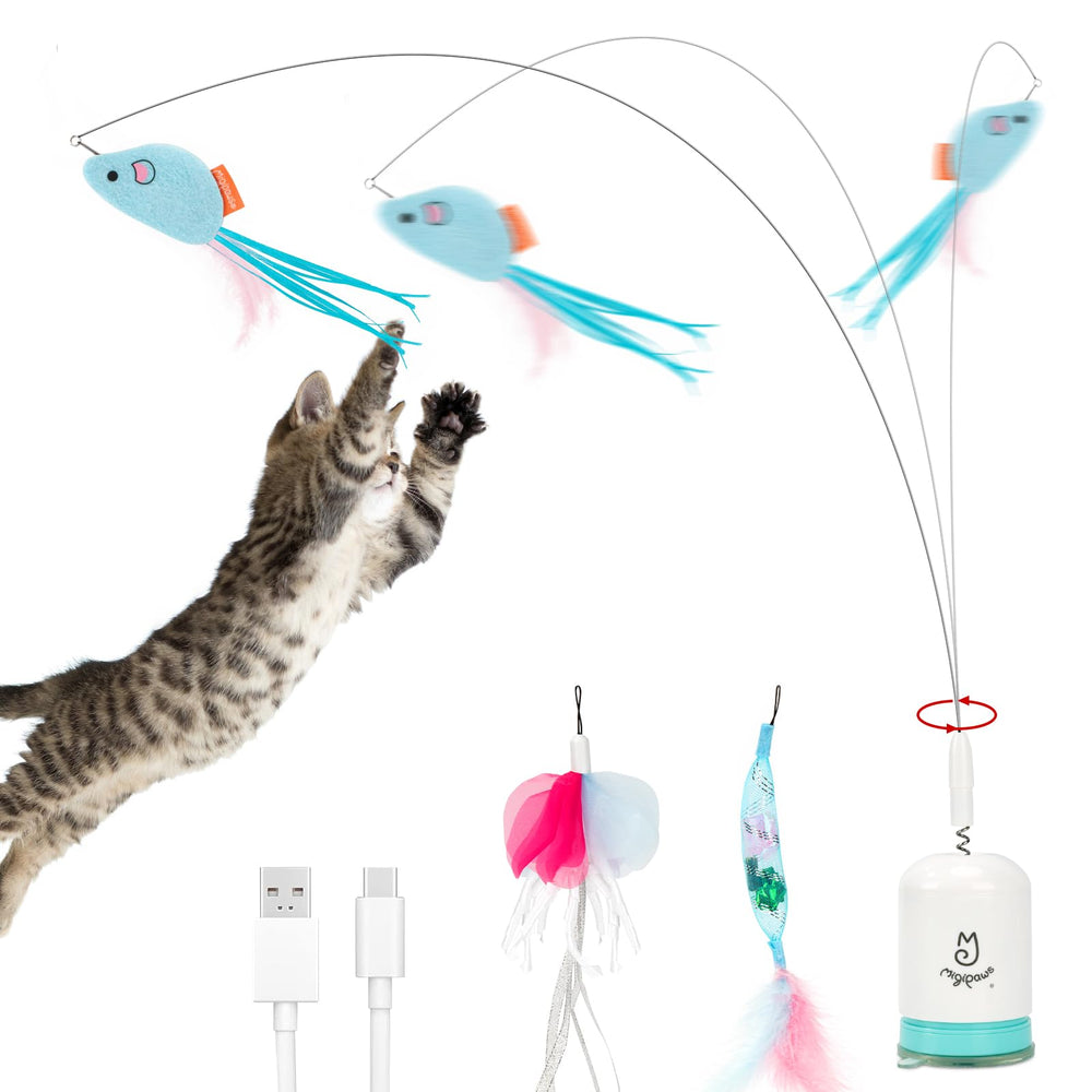 Migipaws ventouse face avant montrant maintien sûr