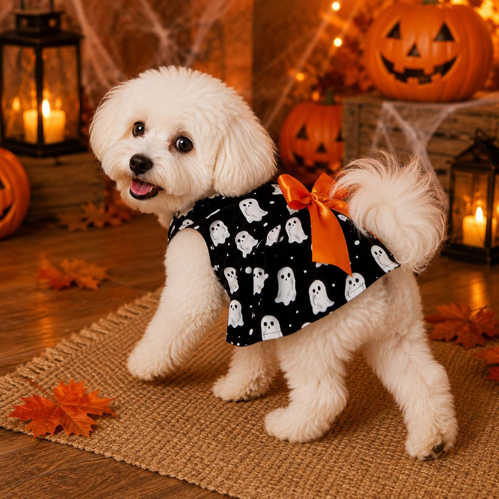 Miiemiu robe Halloween ambiance fête, idéale pour célébrations et photos